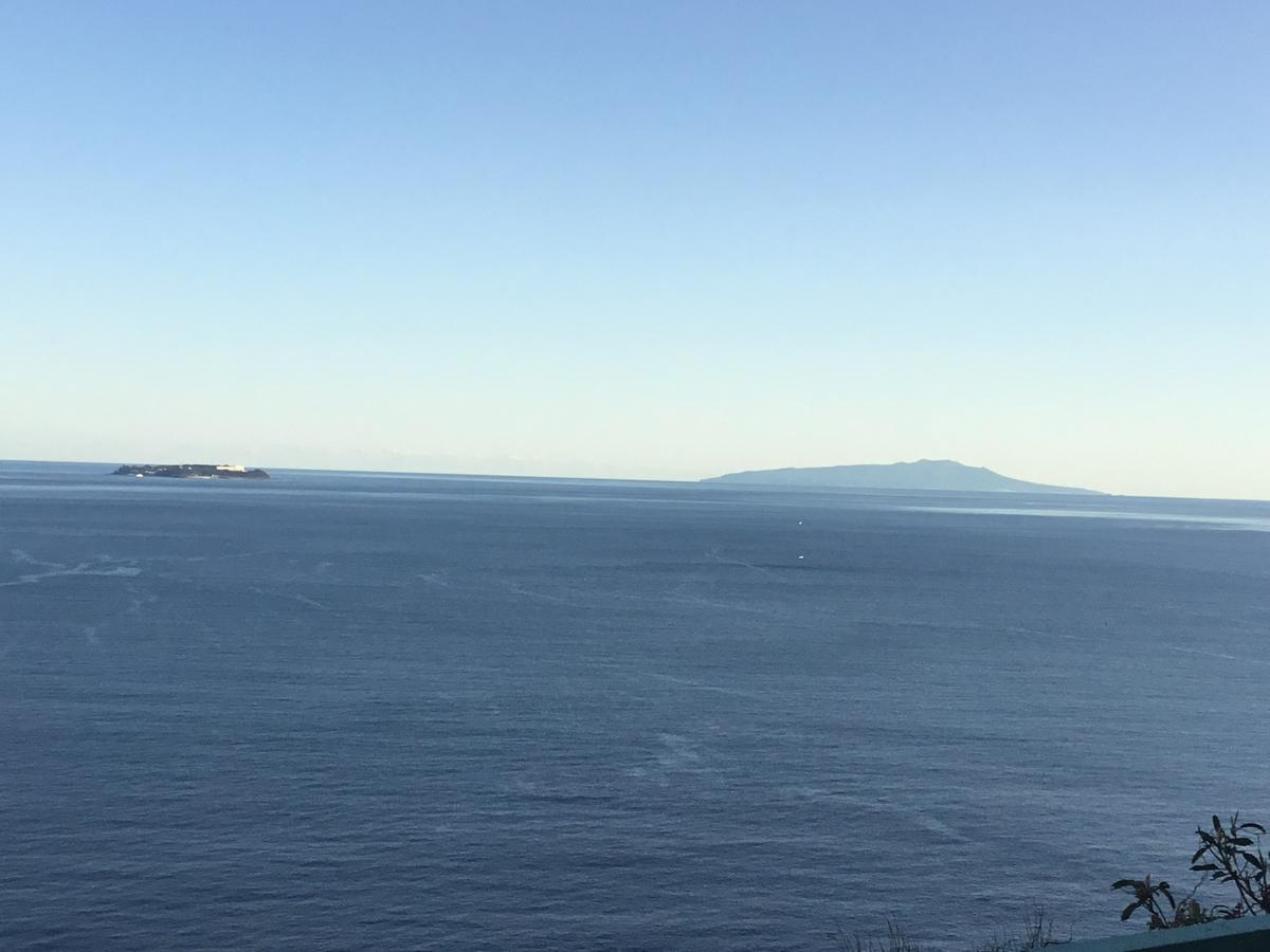הוילה Japan Countryside Atami מראה חיצוני תמונה